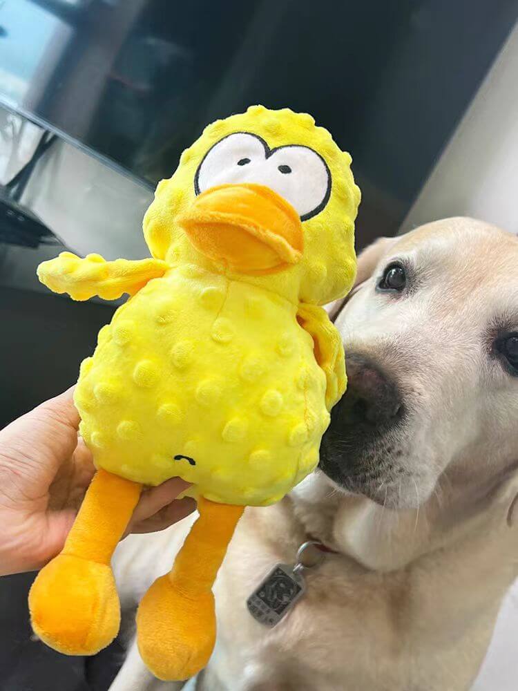 Jouet Chien Interactif Amusant