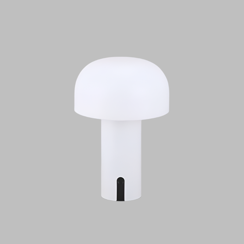 Lampe de Bureau Élégante - Lampe de Lecture Portable et Réglable