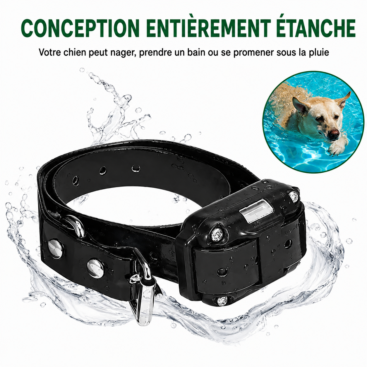 Collier Électrique Dressage Chien Télécommande Étanche