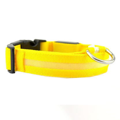 Collier LED pour Chiens, Réchargeable et Étanche